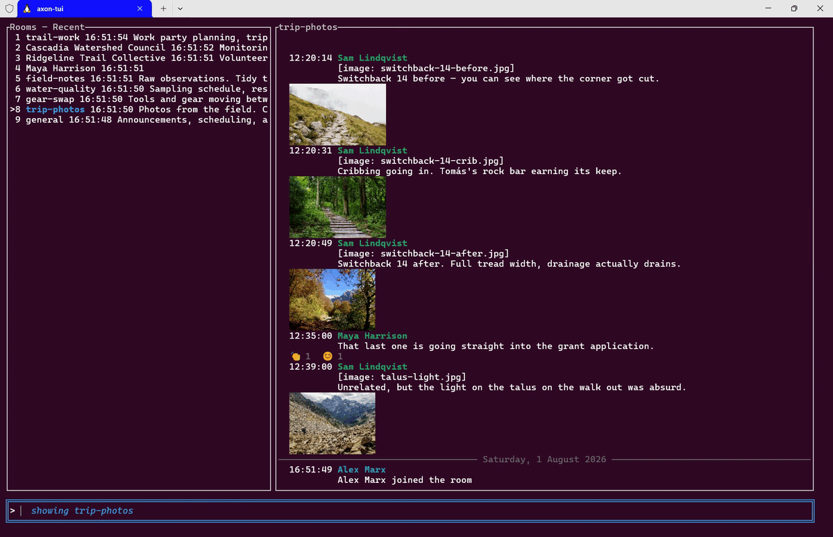 axon-tui rendering a seeded demo world: a room list, a photo timeline with inline terminal graphics, and a search across rooms